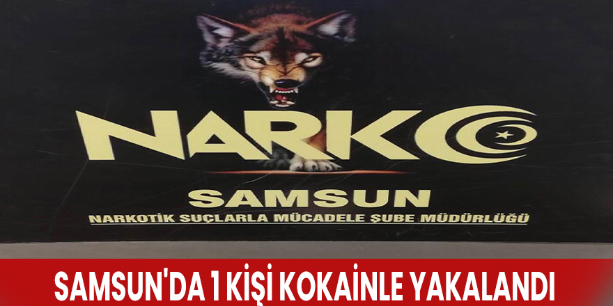 Samsun'da 1 kişi kokainle yakalandı