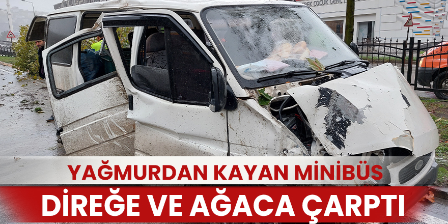 Yağmurdan kayan minibüs direğe ve ağaca çarptı