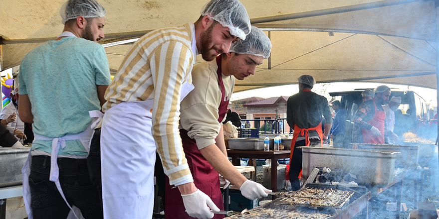 Terme’de hamsi festivali: 1,5 ton hamsi tüketildi