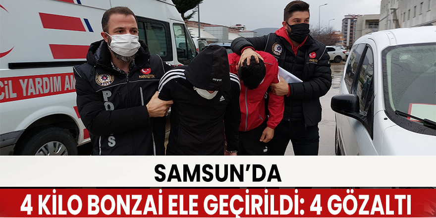 Samsun'da 4 kilo bonzai ele geçirildi: 4 gözaltı