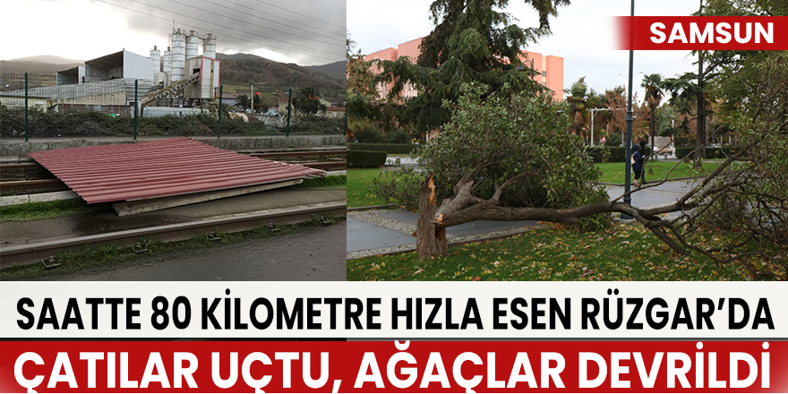 Samsun’da şiddetli fırtına: Çatılar uçtu, ağaçlar devrildi