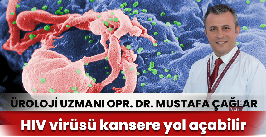 HIV virüsü kansere yol açabilir