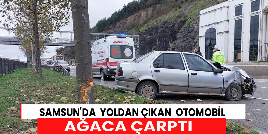 Samsun'da otomobil ağaca çarptı: 2 yaralı
