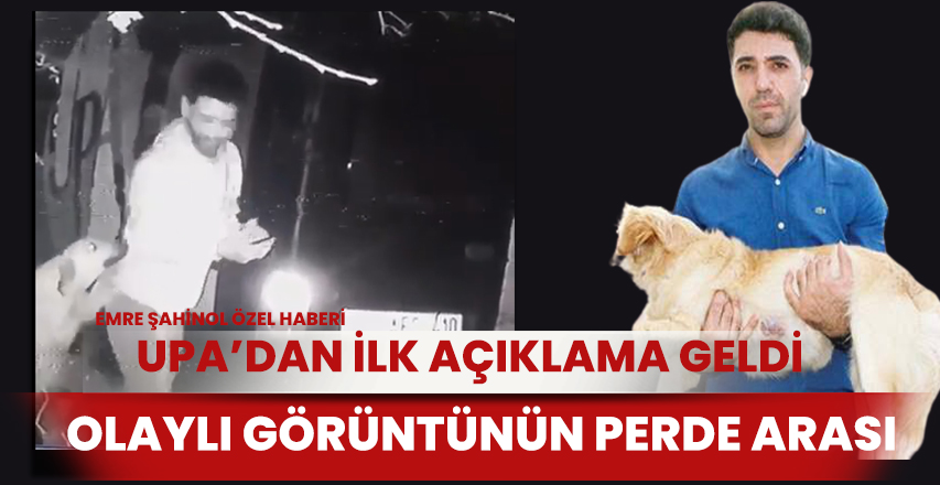 Hayvanları koruma vakfı üyesi doktor, köpeği tekmeledi iddiası