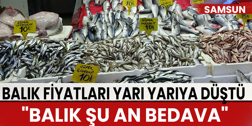 Samsun'da fırtınada artan balık fiyatları yarı yarıya düştü