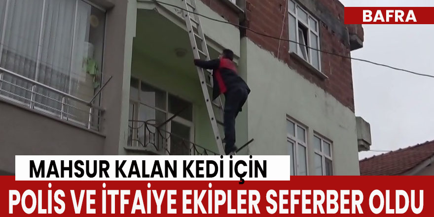 Mahsur kalan kedi için polis ve itfaiye ekipleri seferber oldu