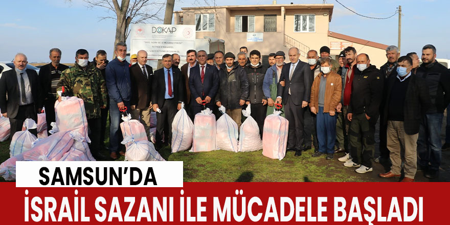 Samsun'da İsrail sazanı ile mücadele başladı