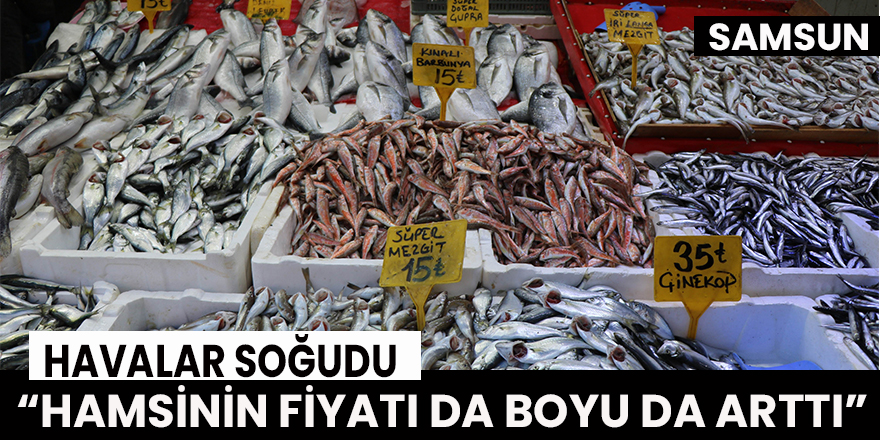 Havalar soğudu “hamsinin fiyatı da boyu da arttı”