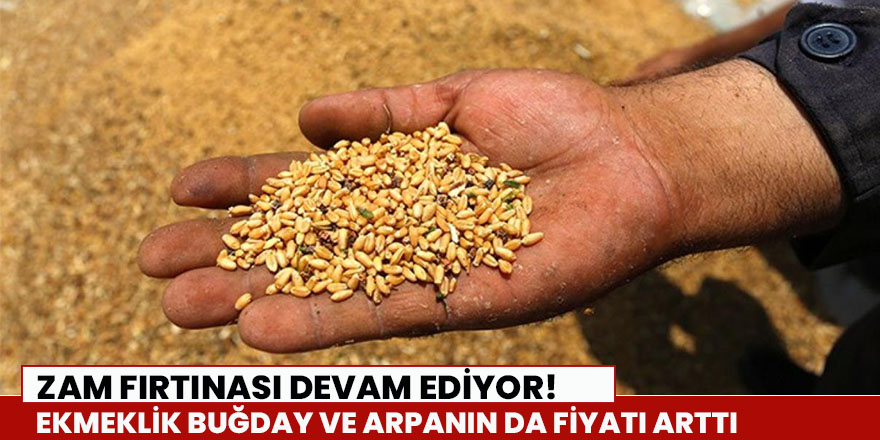 Ekmeklik buğday ve arpanın da fiyatı arttı