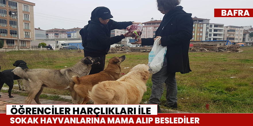 Öğrenciler Sokak Hayvanlarına Mama Alıp Besledi