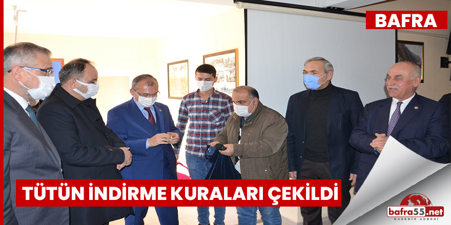 Bafra'da Tütün İndirme Kuraları Çekildi