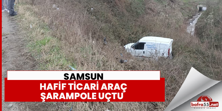 Hafif ticari araç şarampole uçtu