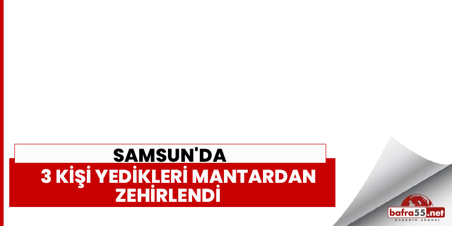 Samsun'da 3 kişi yedikleri mantardan zehirlendi