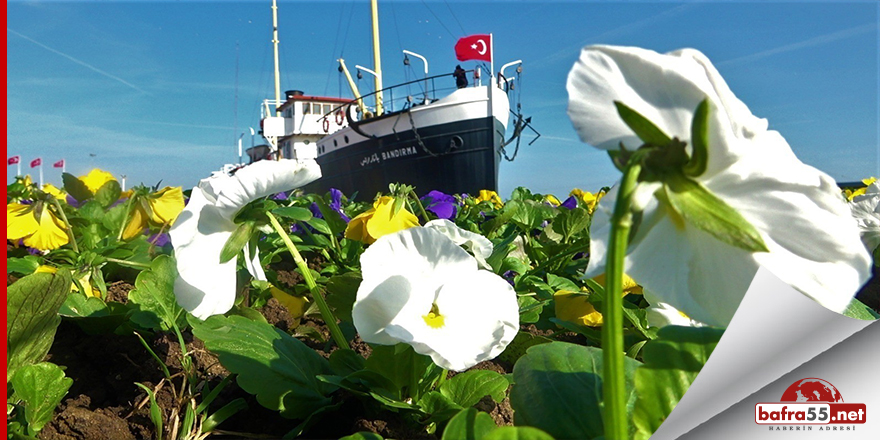 Samsun’da 1500 ağaç ve 53 bin bitki toprakla buluşacak