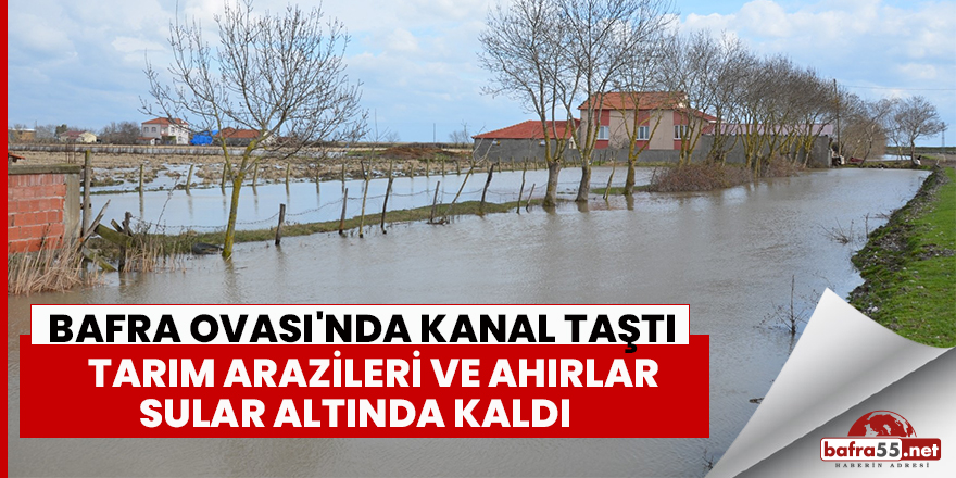 Bafra Ovası'nda kanal taştı