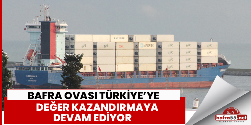 Bafra Ovası Türkiye’ye Değer Kazandırıyor