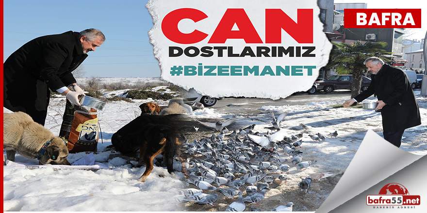 Hamit Kılıç, Can Dostlarımız Bize Emanet