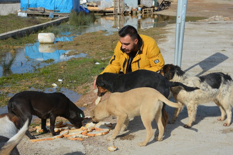 Kırsalda yaşayan sokak hayvanları unutulmadı