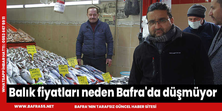Balık fiyatları neden Bafra'da düşmüyor