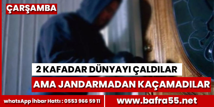 İki kafadar dünyayı çaldılar ama jandarmadan kaçamadılar