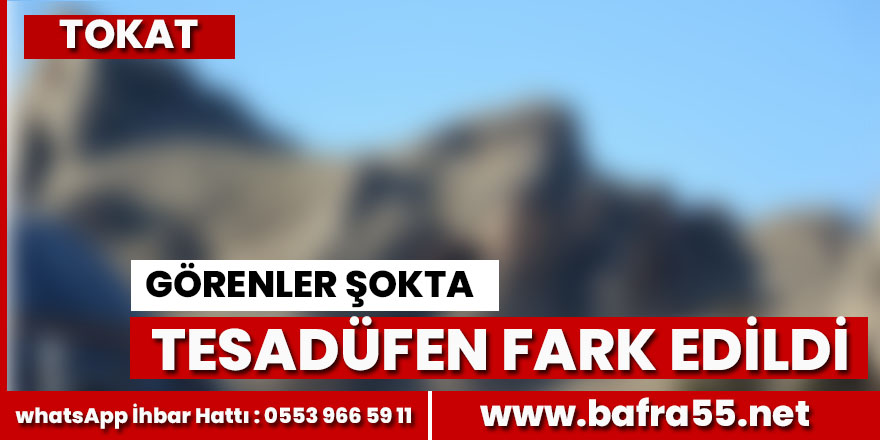 Görenler Şokta! Tesadüfen fark edildi