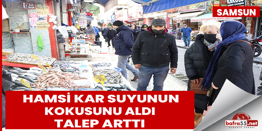 Hamsiye vatandaştan yoğun talep