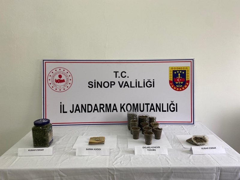Sinop’ta uyuşturucu üretip ticaretini yapan 1 kişi tutuklandı