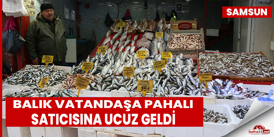 Balık vatandaşa pahalı satıcısına ucuz geldi