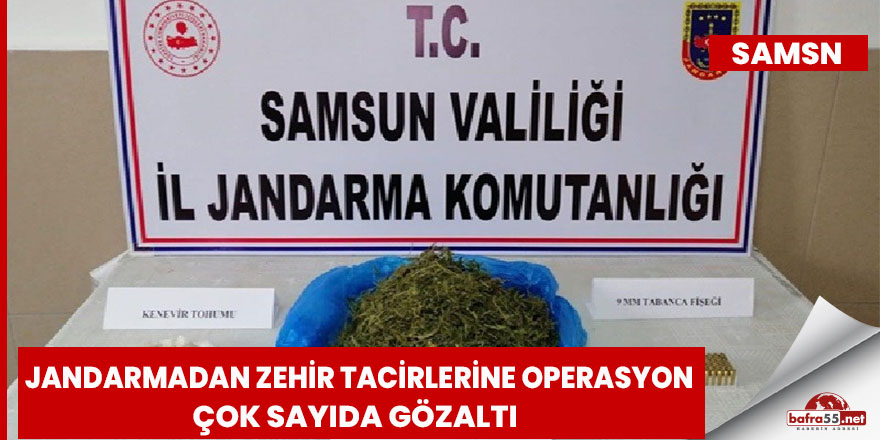 Jandarmadan zehir tacirlerine operasyon