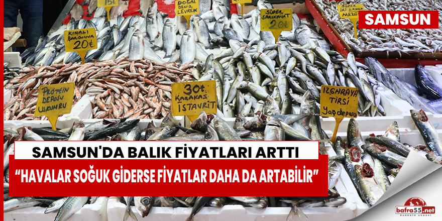 Samsun'da havalar soğdu, balık fiyatları arttı