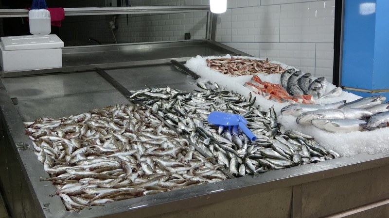 Karadeniz’de balık azlığı, tezgâhlara yansıdı