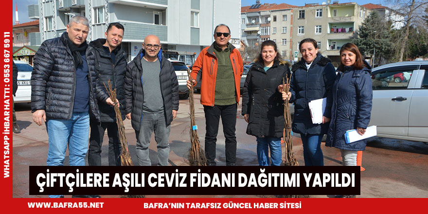 ÇİFTÇİLERE AŞILI CEVİZ FİDANI DAĞITIMI YAPILDI