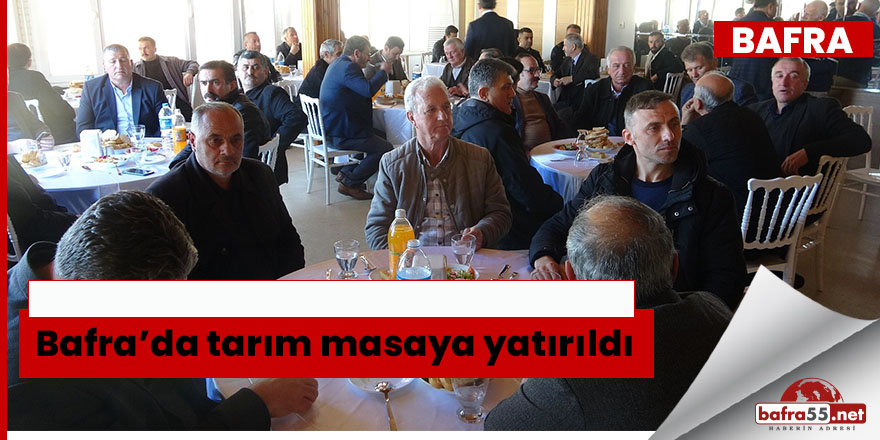 Bafra’da tarım masaya yatırıldı