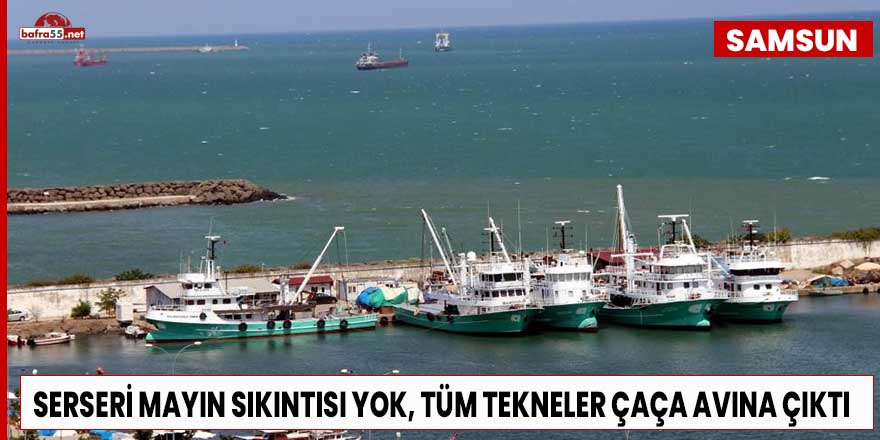 Samsun’da balıkçılar çaça avına başladı