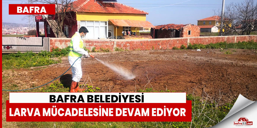 Bafra Belediyesi Larva Mücadelesine Devam Ediyor