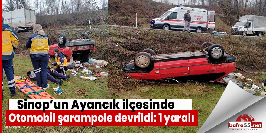 Otomobil şarampole devrildi: 1 yaralı