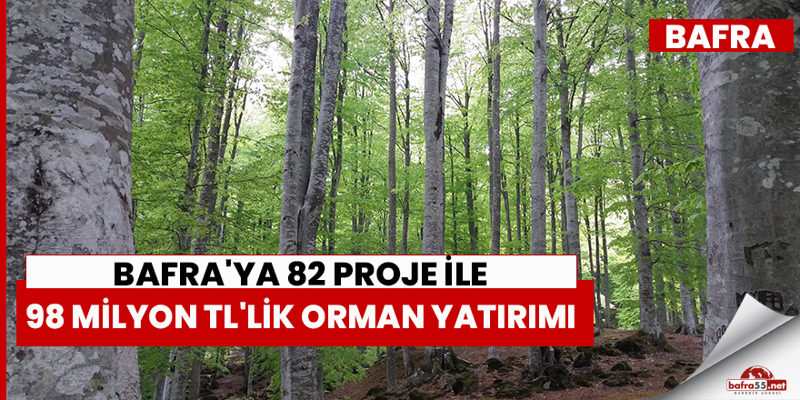 Bafra'ya Orman Yatırımı