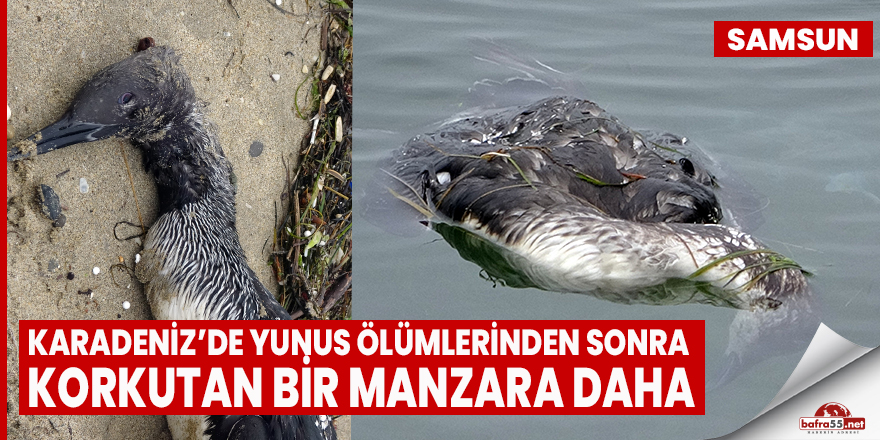 Karadeniz’de korkutan bir manzara daha