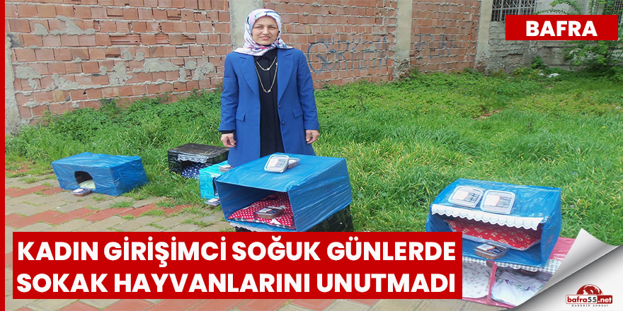 Kadın girişimci soğuk günlerde sokak hayvanlarını unutmadı