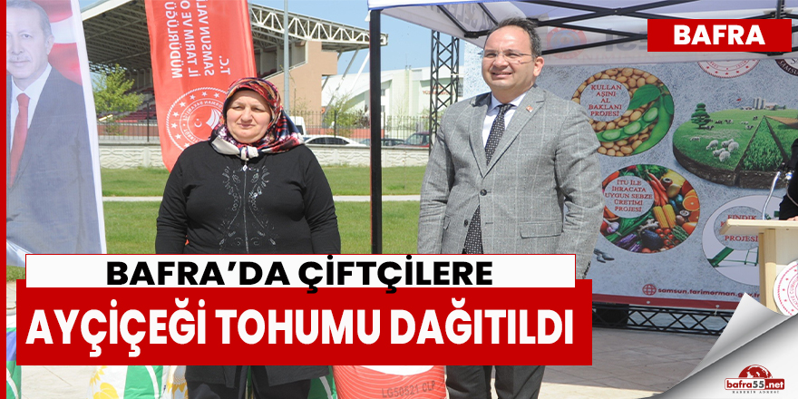 Bafra’da Çiftçilere  Ayçiçeği Tohumu Dağıtıldı