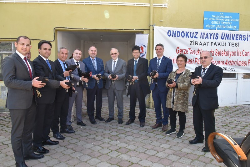 OMÜ projesiyle, Sinop Gerzeli çiftçilere ‘Gerze tavuğu’ dağıtıldı