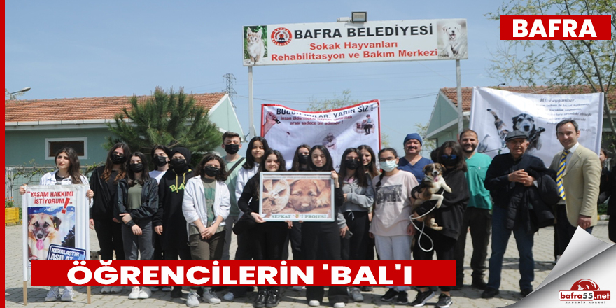 Öğrencilerin 'Bal'ı