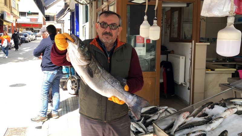 Sinop’ta balıkçı ağlarına 7 kiloluk levrek takıldı
