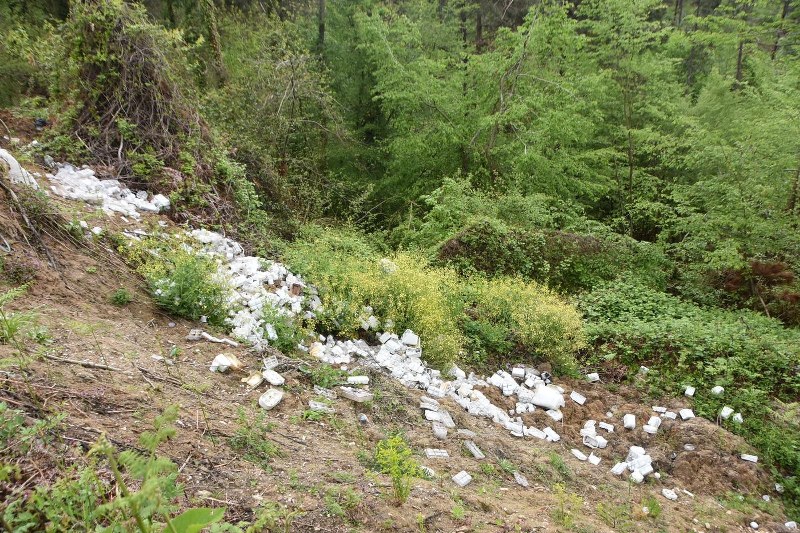 Sinop'ta ormana atılan çöpler tepki çekti
