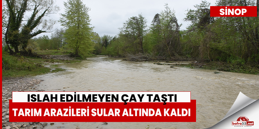 Sinop'ta ıslah edilmeyen çay taştı