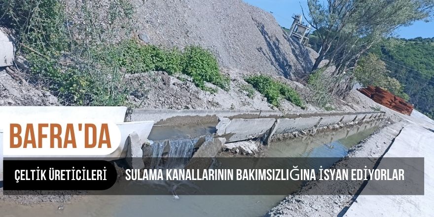 BAFRALI ÇELTİK ÜRETİCİLERİ SULAMA KANALLARININ BAKIMSIZLIĞINA İSYAN EDİYORLAR