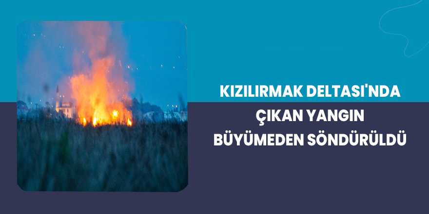 Kızılırmak Deltası'nda Yangın