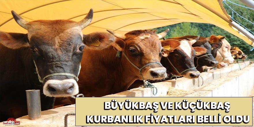 Samsun'da kurbanlık fiyatları belli oldu