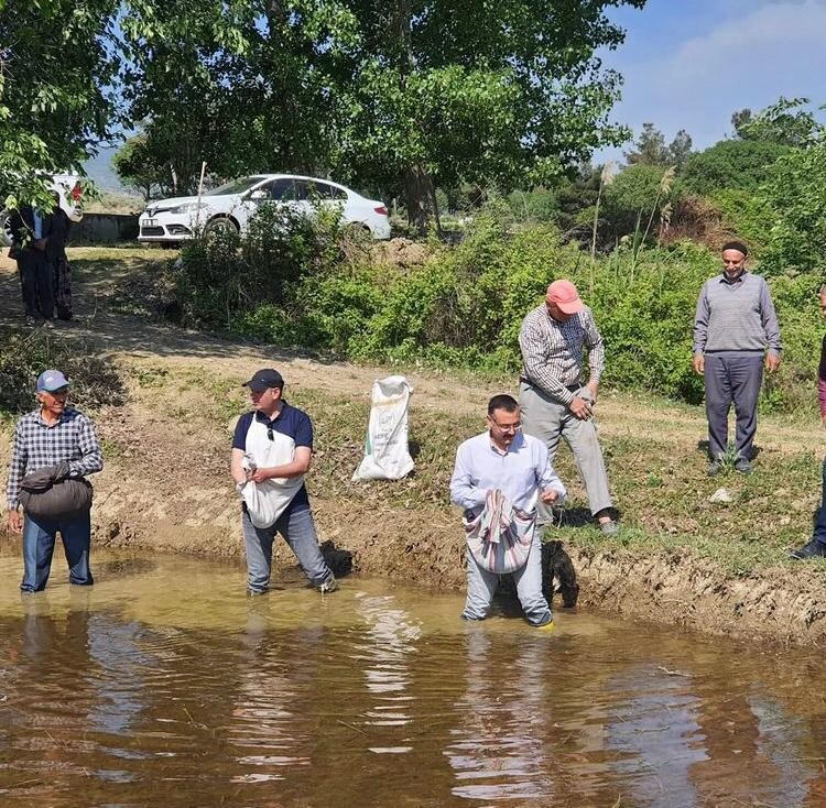 Kaymakam çizmeleri giydi, tarlada çeltik ekti