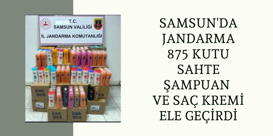 Samsun'da Jandarma 875 Kutu Sahte Şampuan ve Saç Kremi Ele Geçirdi